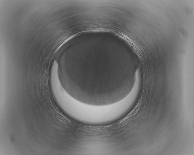 X0000115321361200912141149