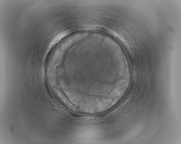 X0000115321362200912141149