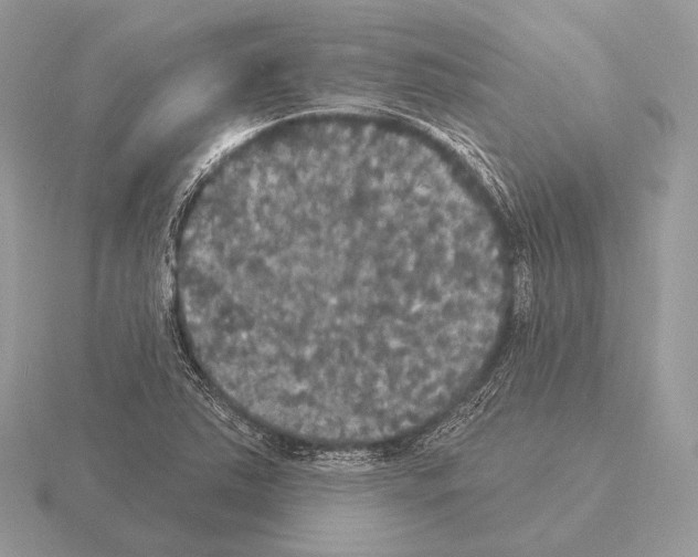 X0000115321363200912141149