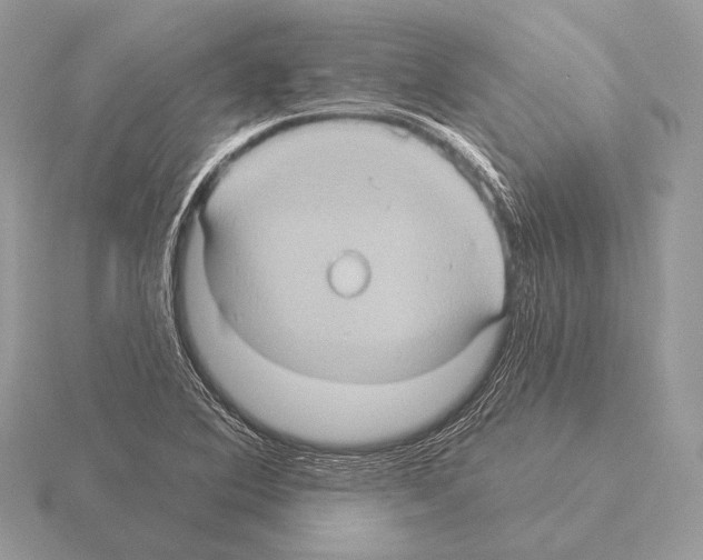 X0000115321364200912141149