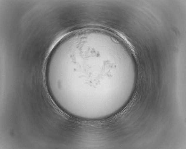 X0000115321368200912141149