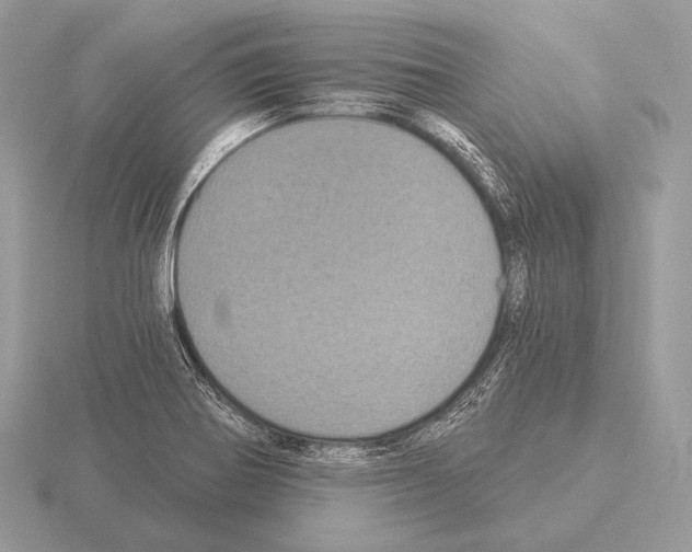 X0000115321370200912141149