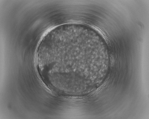 X0000115321371200912141149