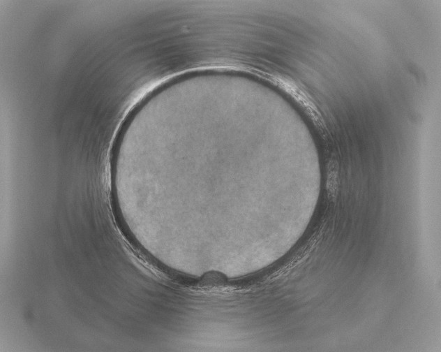 X0000115321372200912141149