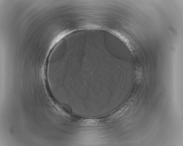 X0000115321373200912141149