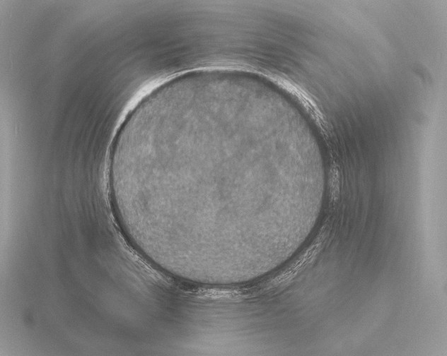 X0000115321374200912141149