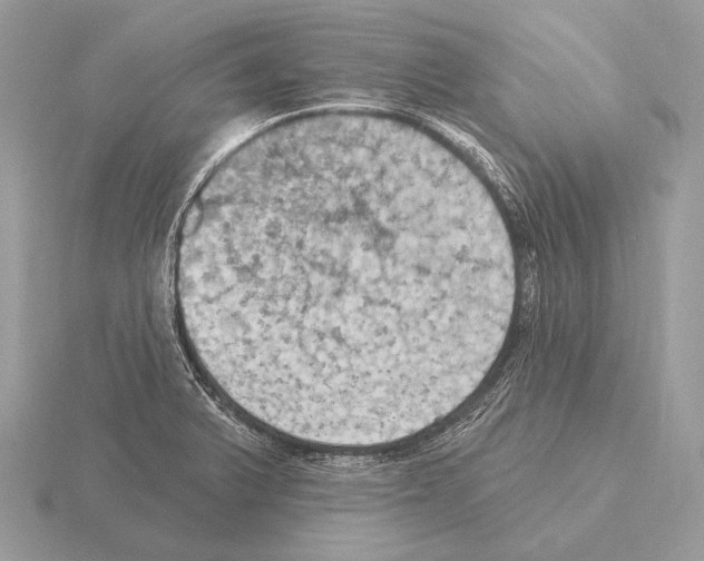 X0000115321375200912141149