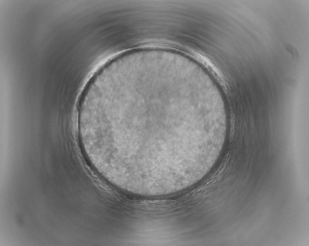 X0000115321376200912141149