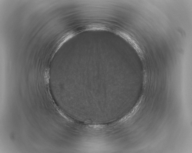 X0000115321377200912141149