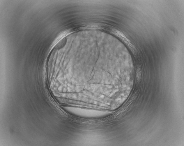 X0000115321378200912141149