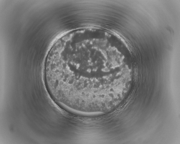 X0000115321379200912141149