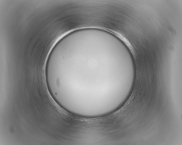 X0000115321380200912141149