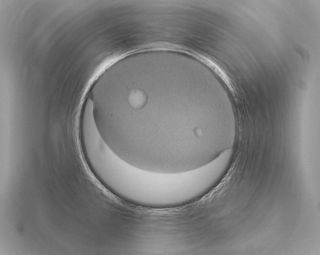 X0000115321381200912141149