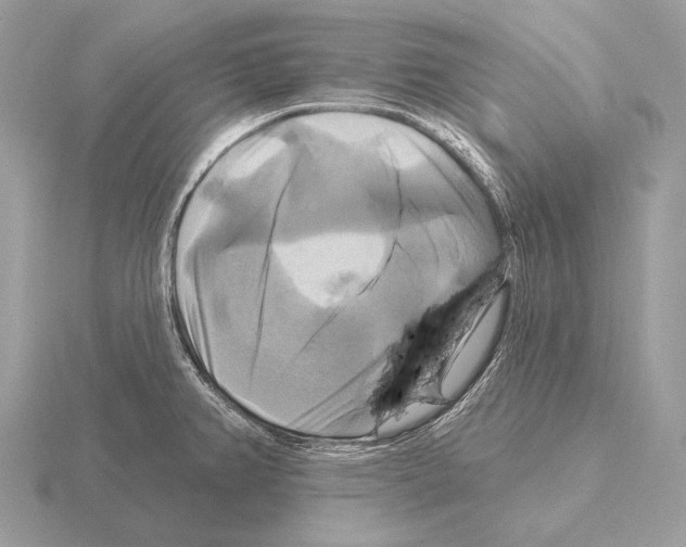 X0000115321382200912141149