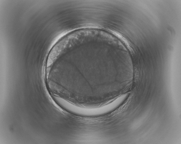 X0000115321383200912141149