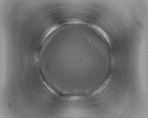 X0000115321385200912141149