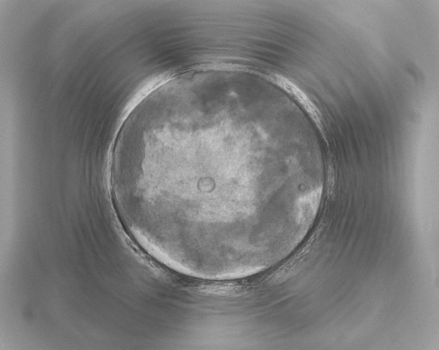 X0000115321386200912141149