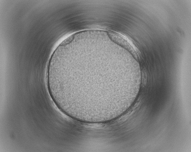 X0000115321387200912141149