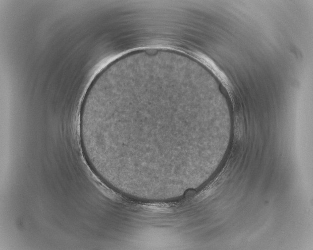 X0000115321388200912141149