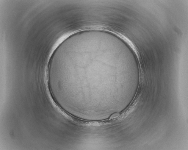 X0000115321389200912141149