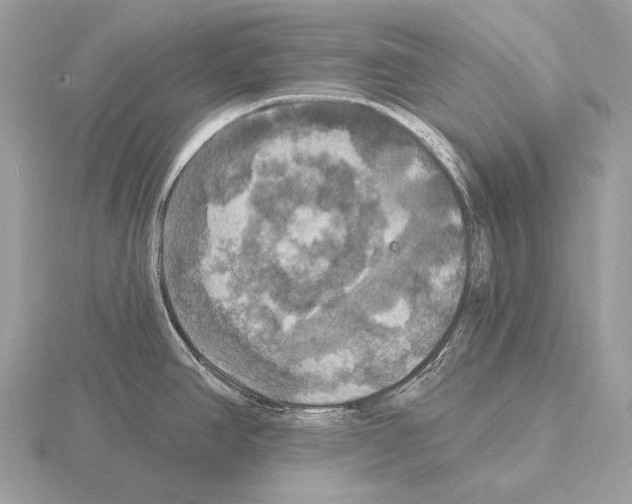 X0000115321390200912141149