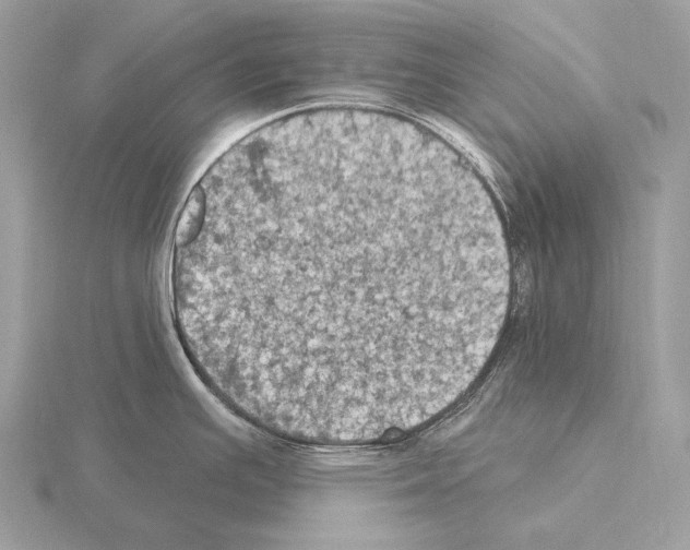 X0000115321391200912141149