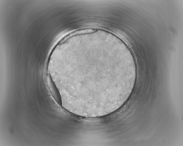 X0000115321392200912141149