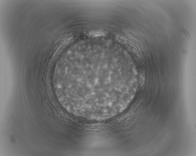 X0000115321393200912141148