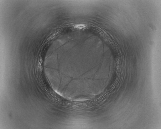 X0000115321394200912141148