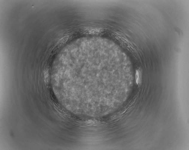 X0000115321395200912141148