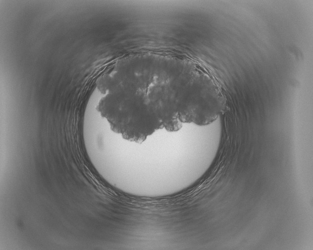 X0000115321396200912141148