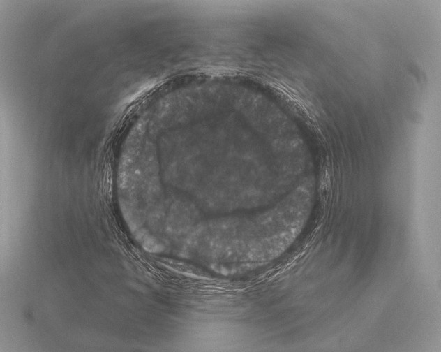 X0000115321398200912141148