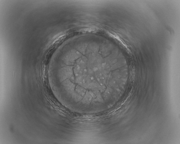 X0000115321399200912141148