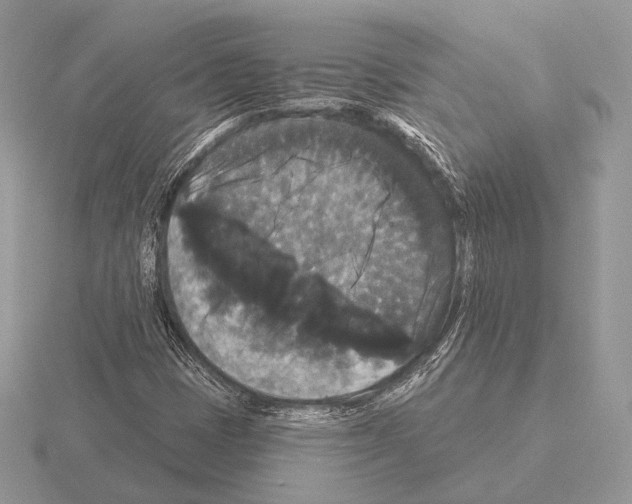 X0000115321401200912141148