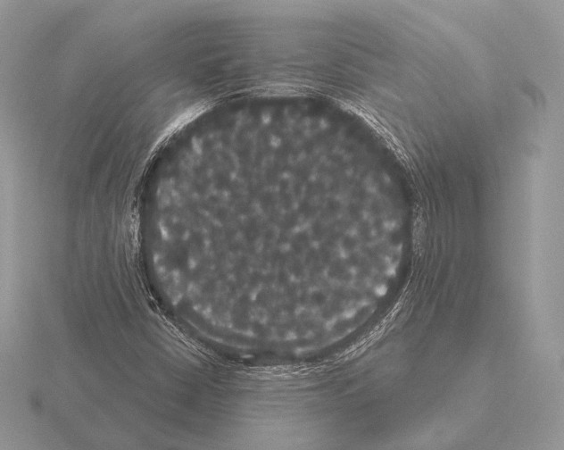 X0000115321402200912141148