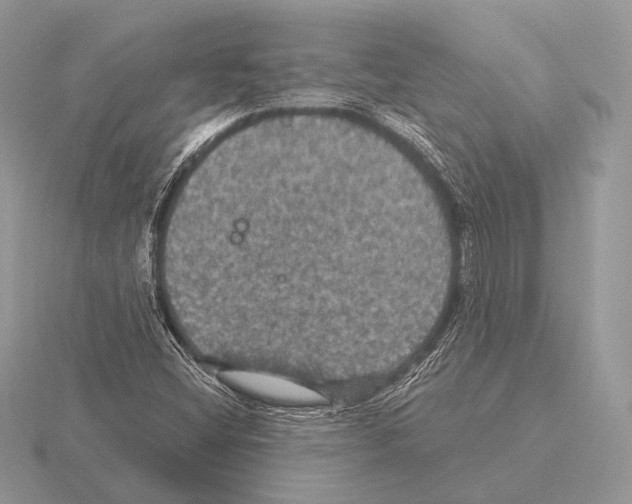 X0000115321404200912141148