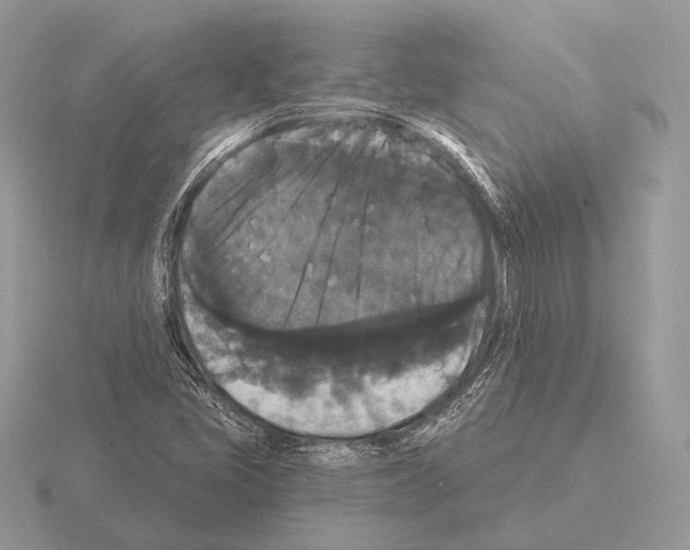 X0000115321405200912141148