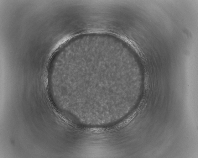 X0000115321406200912141148