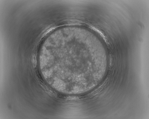 X0000115321407200912141148