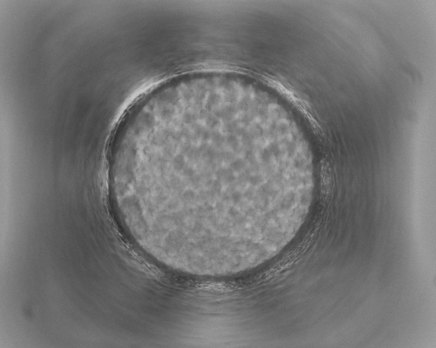 X0000115321408200912141148