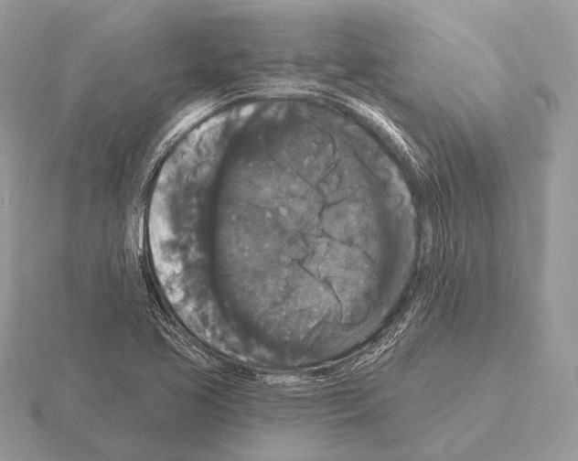 X0000115321413200912141148