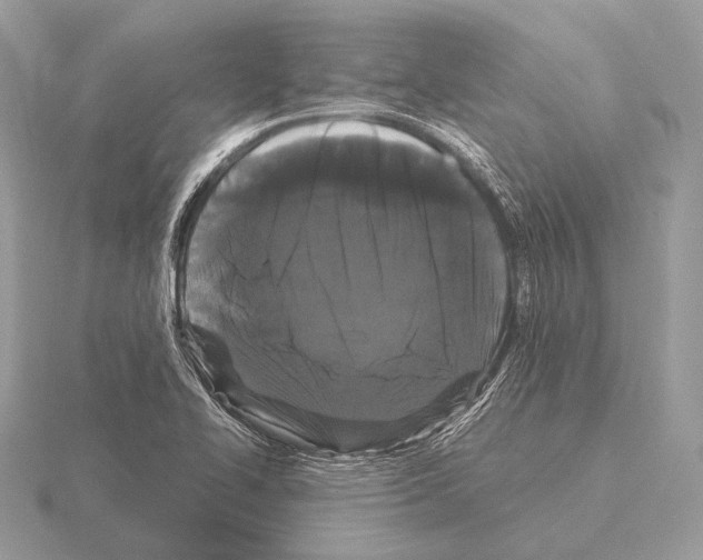 X0000115321414200912141148