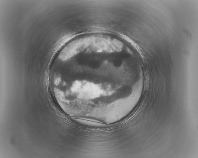 X0000115321415200912141148