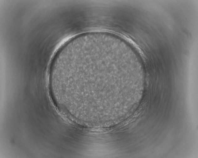 X0000115321416200912141148