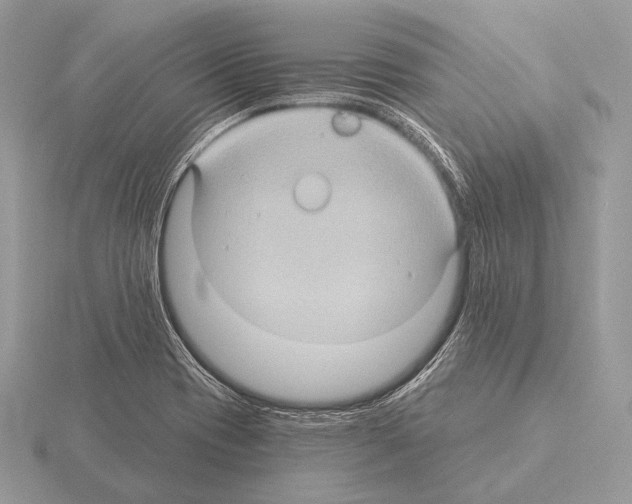 X0000115321417200912141148