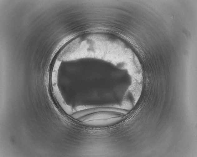 X0000115321418200912141148