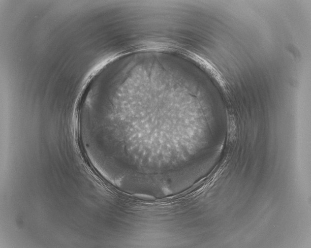 X0000115321419200912141148