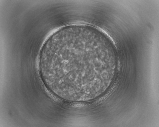 X0000115321421200912141148