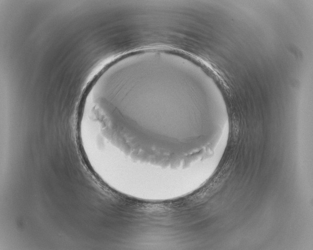 X0000115321422200912141148