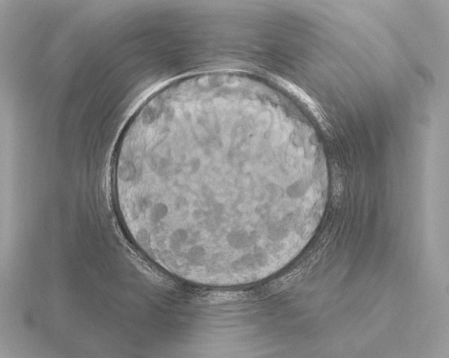 X0000115321423200912141148